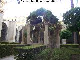 Concatedral de San Nicols de Bari. Claustro