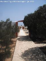 Isla de Tabarca. Cementerio. 