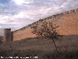 Muralla. Muralla Sur con la Torre Albarrana