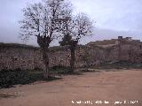 Muralla. Muralla desde la parte de atrs del Convento de los Trinitarios