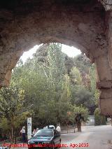 Puerta de la Virgen. 