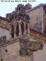 Catedral de Santa Mara y San Julin. Grgola