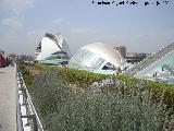 Ciudad de las Artes y las Ciencias. 