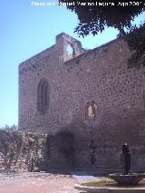 Castillo de Pea Bermeja. 