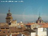 Catedral de Santa Mara. 