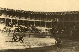 Plaza de Toros de San Cristobal. Foto antigua