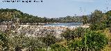 Pantano del Encinarejo. 