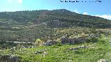 Cerro de los Lirios. Vistas