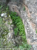 Necrpolis visigoda del Cerro Salido. Tumba