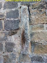 Catedral de Baeza. Torre. Columna de mrmol empotrada