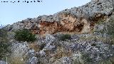 Pinturas rupestres de la Cueva de Limones. Abrigo