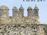 Arco de Villalar y Puerta de Jan. Almenas