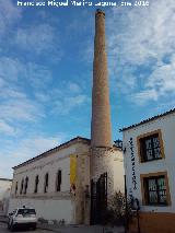 Hacienda La Laguna. Chimenea