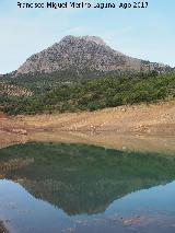 Pea del Altar. 