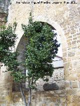 Iglesia del Salvador. Arco