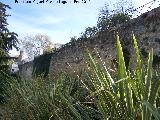 Muralla de Baeza. Murallas del Paseo Antonio Machado