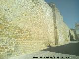 Muralla de Baeza. Murallas del Torrico