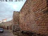 Muralla de Baeza. Murallas del Torrico