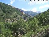 Monte Carluca. Vistas