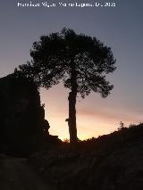 Ocaso. Estrecho de los Perales - Cazorla