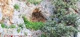 Pinturas rupestres de la Pe�a del Gorri�n IV. Cueva