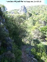 Camino de Herradura de La Nava. 