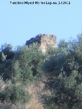 Castillo de La Malena. 