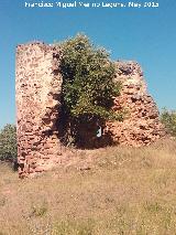 Castillo de La Malena. 