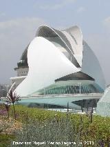 Ciudad de las Artes y las Ciencias. Palacio de las Artes Reina Sofa. 