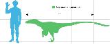 Deinonico - Deinonychus antirrhopus. Comparacin con el hombre. Wikipedia