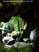 Cueva de Cuadros. 