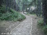 Sendero El Campillo - Ro Madera. 