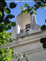 Iglesia Nueva de San Miguel. Espadaa