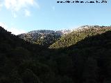 Barranco de la Hoya del Cao. 