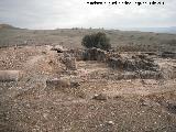 Cstulo. Termas de la Casa del Olivar. 