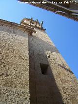 Colegiata de Santiago. Torre