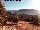 Torren de las Mimbres. Vistas hacia la Camua