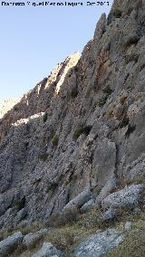 Cerro Cuevas del Aire. Paredes rocosas que dan a Bedmar