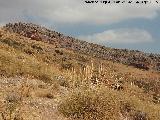 Cerro Alto de la Serrezuela. Abrigos