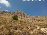 Cerro Alto de la Serrezuela. 