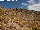 Cerro Alto de la Serrezuela. Ladera sureste