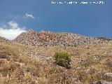 Cerro Alto de la Serrezuela. 