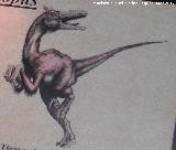 Deinonico - Deynonychus antirrhopus. 