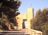 Muralla de Jan. Puerta del Castillo. 