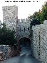 Muralla de Jan. Puerta del Castillo. 