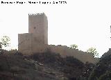 Castillo de la Yedra. Alcazar