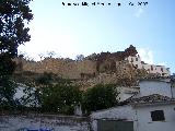 Castillo de la Yedra. Las murallas superiores son del segundo recinto y las inferiores del tercero