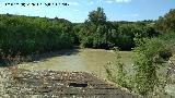 Ro Guadalquivir. Desde el tejado del Molino Sur de Casas Nuevas - Marmolejo