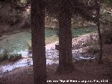 Ro Guadalquivir. Riachuelo desembocando en el Guadalquivir en la zona recreativa del Puente de las Herreras