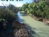 Ro Guadalquivir. A su paso por el Puente del Obispo - Baeza